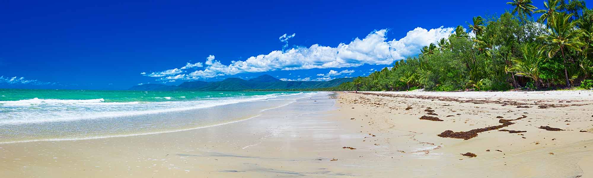 Port Douglas (and vicinity)